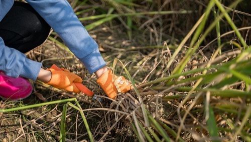 九游娱乐平台：“新课标”时代南通嘉得利领跑儿童手部防护新赛道(图2)
