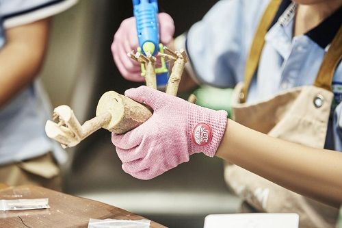 九游娱乐平台：“新课标”时代南通嘉得利领跑儿童手部防护新赛道(图3)