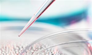 九游娱乐网站：2024年婴儿用品行业的产业链分析及市场发展现状(图2)