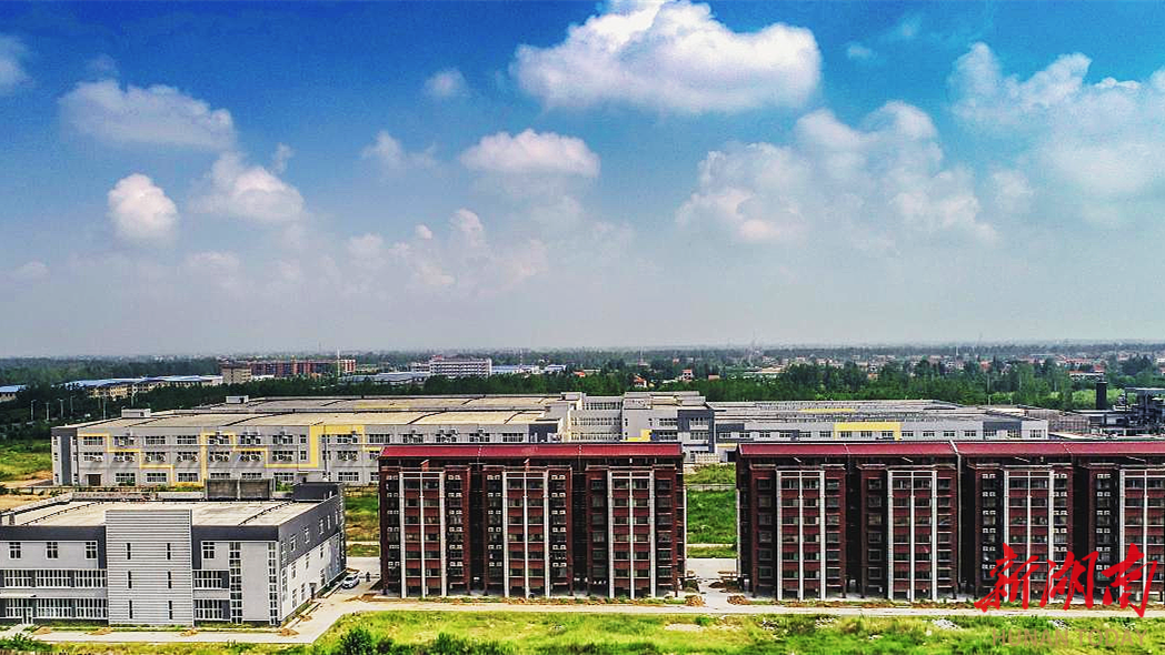 九游娱乐网站：一个“龙头”昂起一群企业奋起——澧县服装辅料产业集群观察(图2)