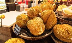 九游娱乐：智能纺织品行业深度研究及未来投资机会2024(图5)