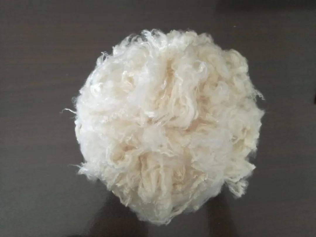 九游娱乐：展商速览提供绿色、功能原料CINTE24助力美好生活(图5)