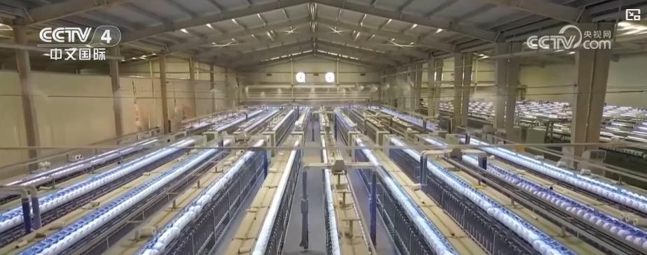 九游娱乐网站：从田间到车间一朵棉花“链”起金色产业(图3)