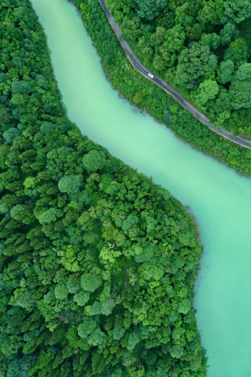 九游娱乐平台：达州市大竹县：竹海翻腾百亿潮纤维编织绿色梦(图4)