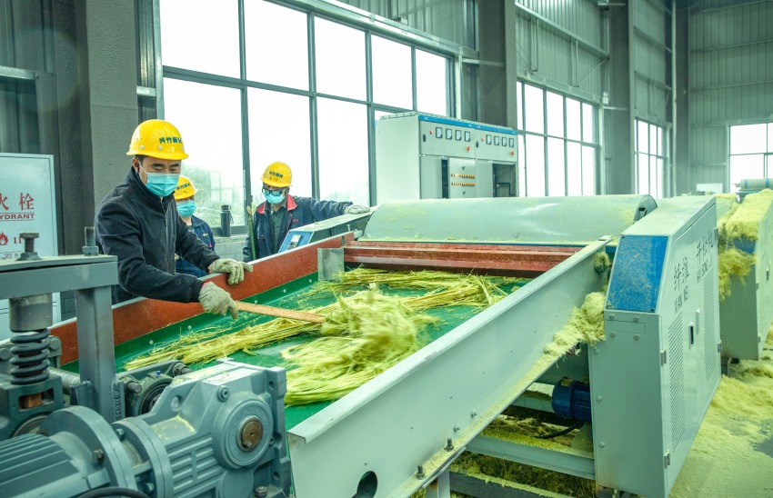 九游娱乐平台：达州市大竹县：竹海翻腾百亿潮纤维编织绿色梦(图2)