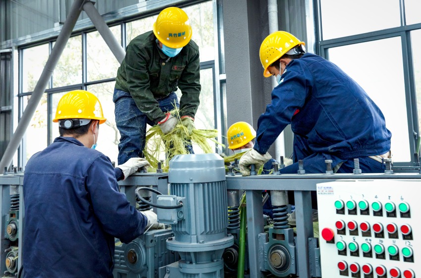 九游娱乐平台：达州市大竹县：竹海翻腾百亿潮纤维编织绿色梦(图1)