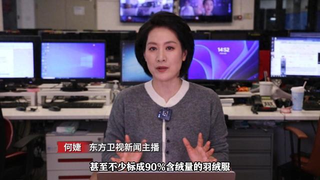 九游娱乐网站：一看就懂丨羽绒服涨价为啥和“二师兄”有关？(图1)