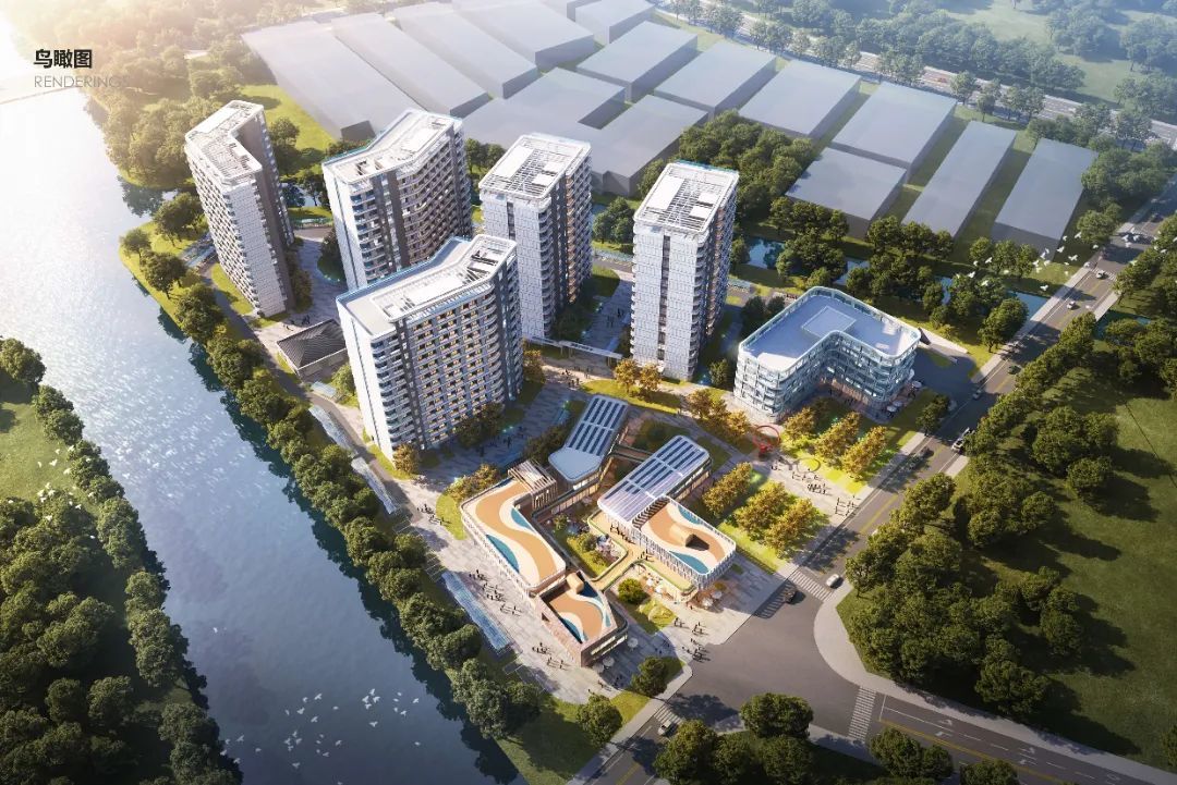 九游娱乐：相城经开区：“项”上冲刺乘“新”而起(图15)