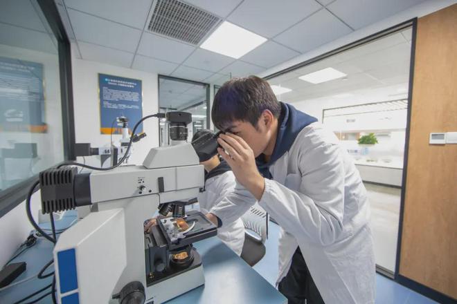 九游娱乐：总成交额超4000亿元！十大篇章解读2024年柯桥纺织高质量发展之路(图6)