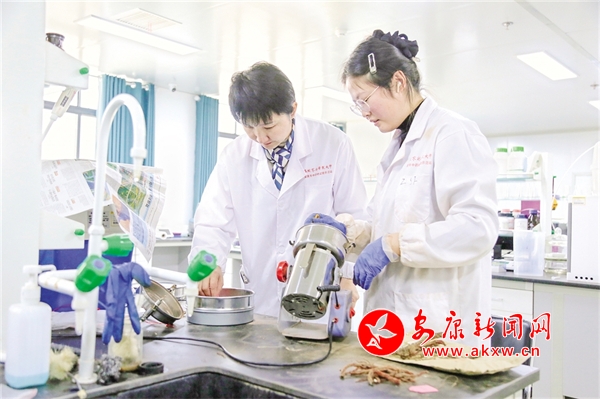 九游娱乐网站：秦巴药乡育“新芽”——我市解锁中药材产业与科研培育的深度融合-安康新闻网(图1)