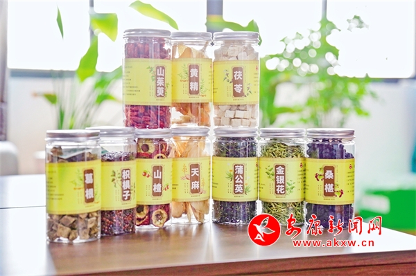 九游娱乐网站：秦巴药乡育“新芽”——我市解锁中药材产业与科研培育的深度融合-安康新闻网(图3)