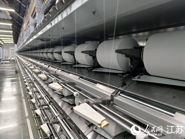 九游娱乐网站：淮安洪泽：这个产业何以快速长个儿？(图1)