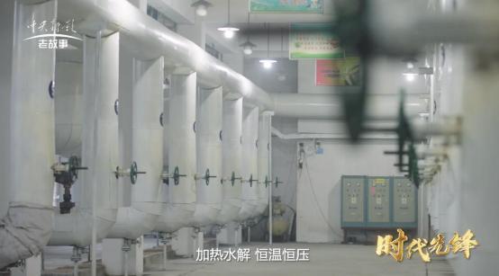 九游娱乐平台：匠心精神之时代先锋·年度优秀展播节目《衣归处朝阳升(图4)