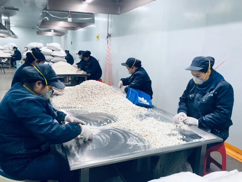 九游娱乐：碧江区：产业集聚齐开工提升经济产能附加值(图2)