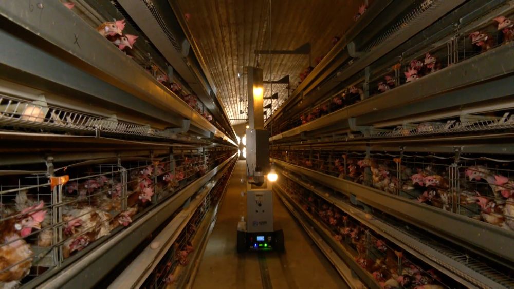 九游娱乐网站：新华视点｜数智赋能中小民营企业提“质”而上(图1)