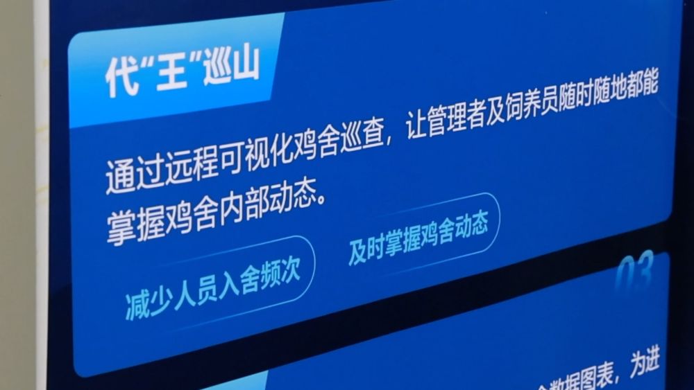 九游娱乐网站：新华视点｜数智赋能中小民营企业提“质”而上(图2)