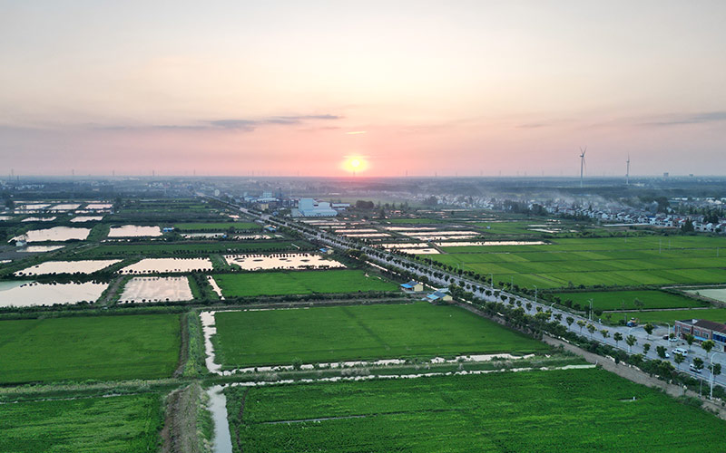 九游娱乐：湖北潜江：精准施策强产业点燃发展新引擎(图4)