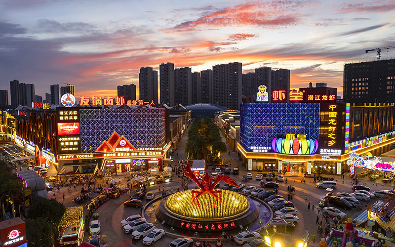 九游娱乐：湖北潜江：精准施策强产业点燃发展新引擎(图3)