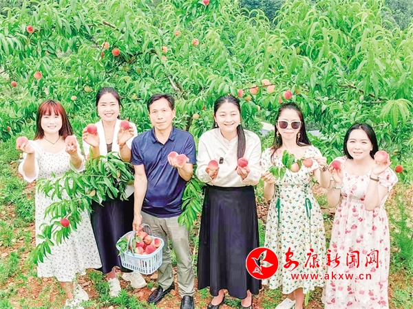 九游娱乐网站：石梯镇奏响乡村振兴新乐章-安康新闻网(图4)