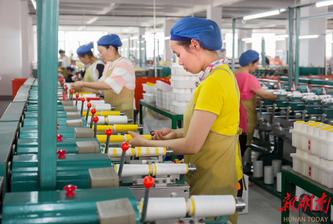 九游娱乐网站：大县勇担当④丨双轨并行激活一池春水——澧县推动高新区“管委会+公司”运营模式改革重构园区生态链(图4)