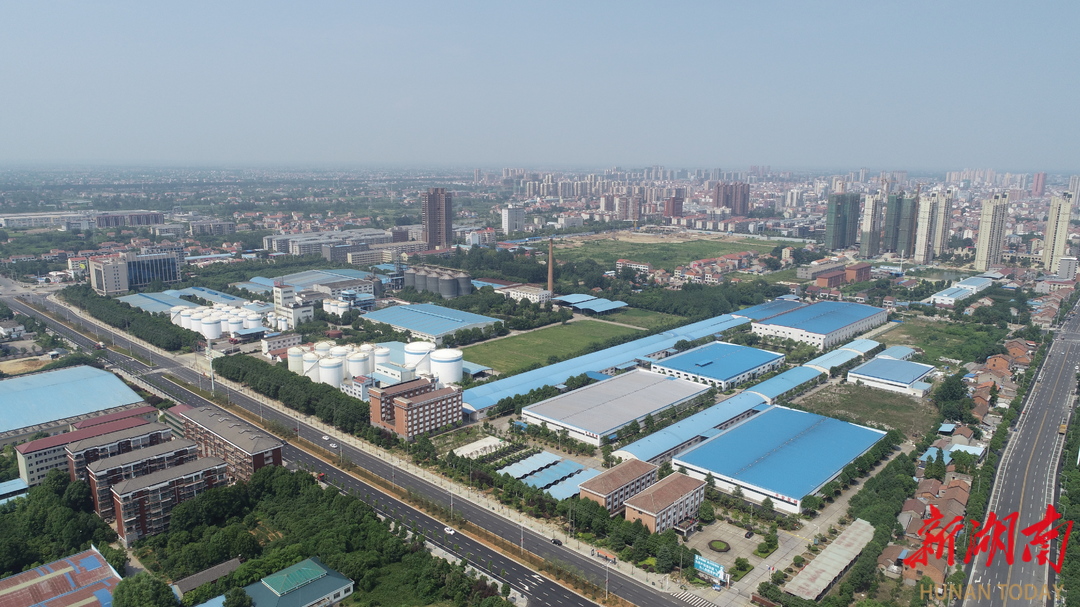 九游娱乐网站：大县勇担当④丨双轨并行激活一池春水——澧县推动高新区“管委会+公司”运营模式改革重构园区生态链(图5)