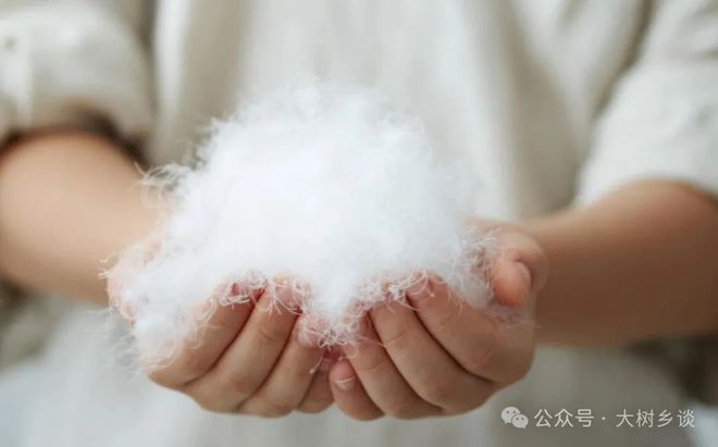 九游娱乐：一只十几元的烤鸭是美国无法翻越的高山(图2)