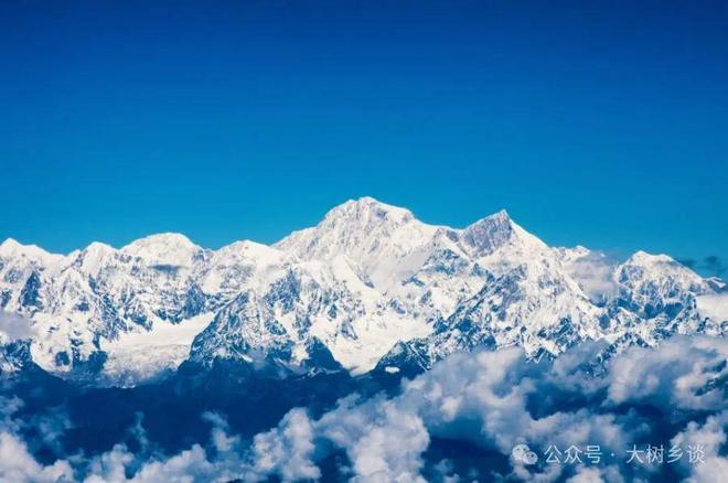 九游娱乐：一只十几元的烤鸭是美国无法翻越的高山(图13)