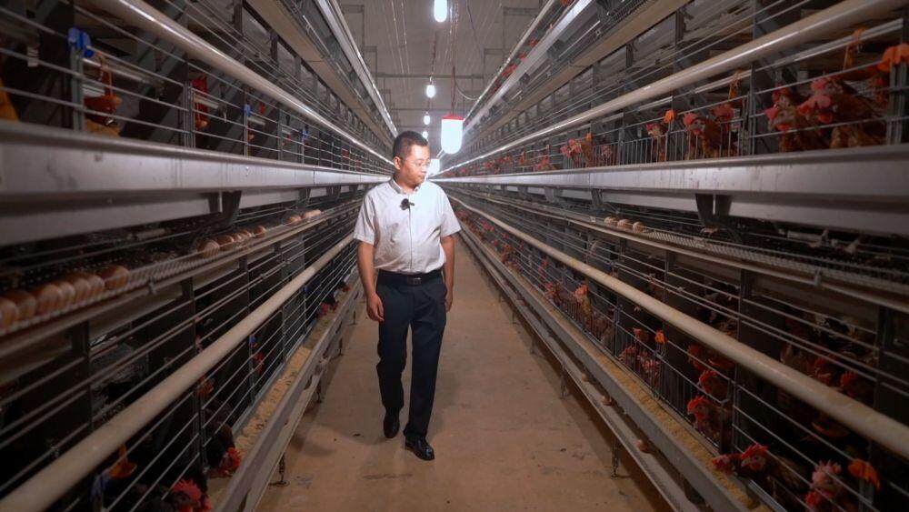 九游娱乐：新华视点｜多措并举打好稳就业“组合拳”(图10)