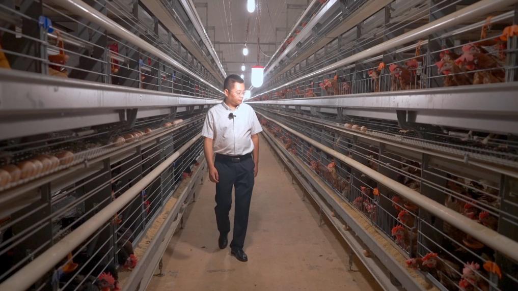 九游娱乐网站：新华视点丨多措并举打好稳就业“组合拳”(图10)