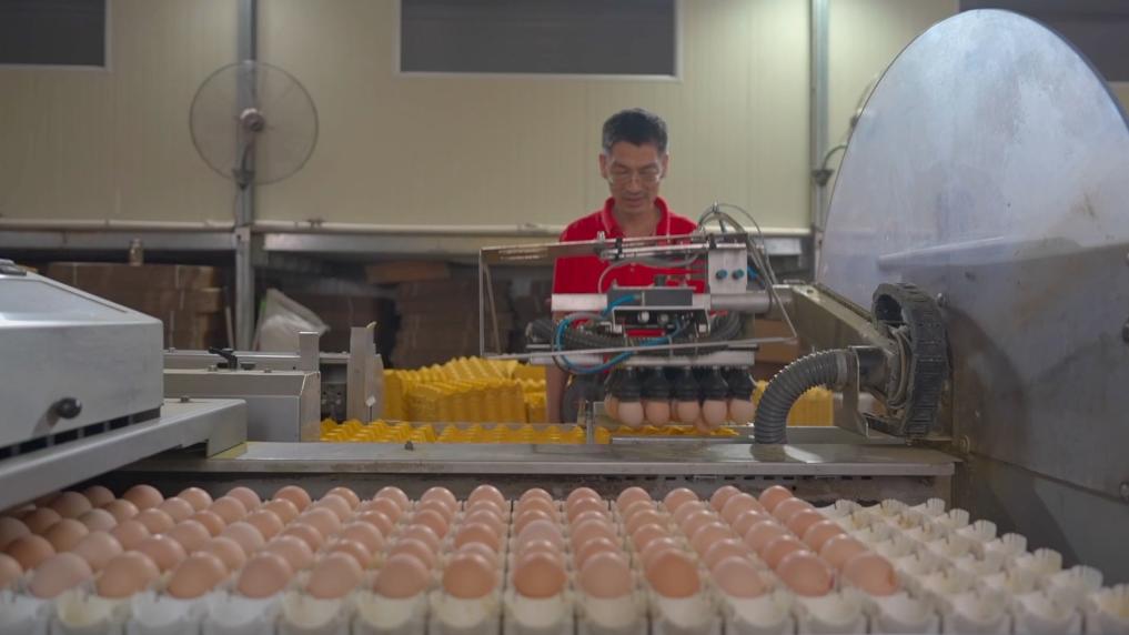 九游娱乐网站：新华视点丨多措并举打好稳就业“组合拳”(图11)