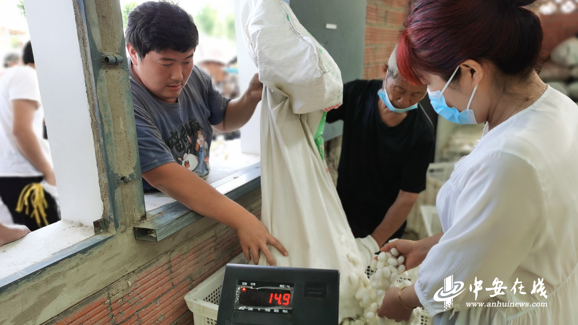 九游娱乐平台：“阜阳造”系列报道③(图3)