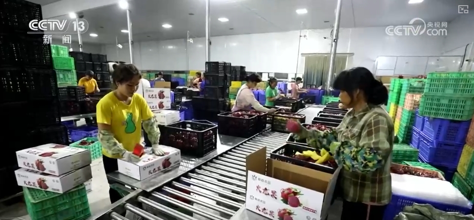 九游娱乐平台：通关“不打烊”、出口攀升RCEP红利！企业畅享成本、效率、市场拓展多维优势(图10)