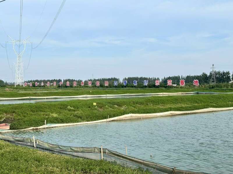 九游娱乐平台：活力中国调研行｜湖北：“向上曲线”背后的“活力密码”(图4)