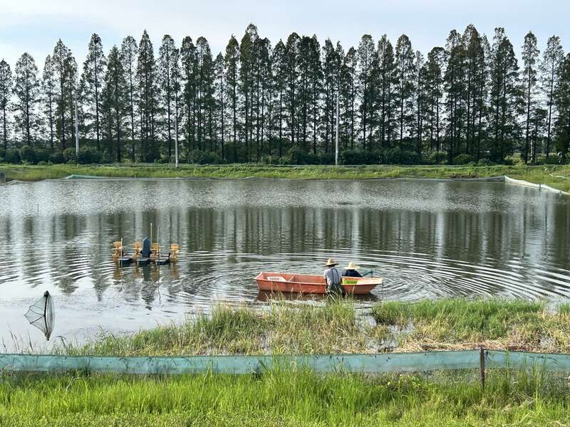 九游娱乐平台：活力中国调研行｜湖北：“向上曲线”背后的“活力密码”(图3)