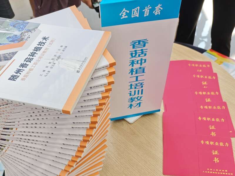 九游娱乐平台：活力中国调研行｜湖北：“向上曲线”背后的“活力密码”(图7)