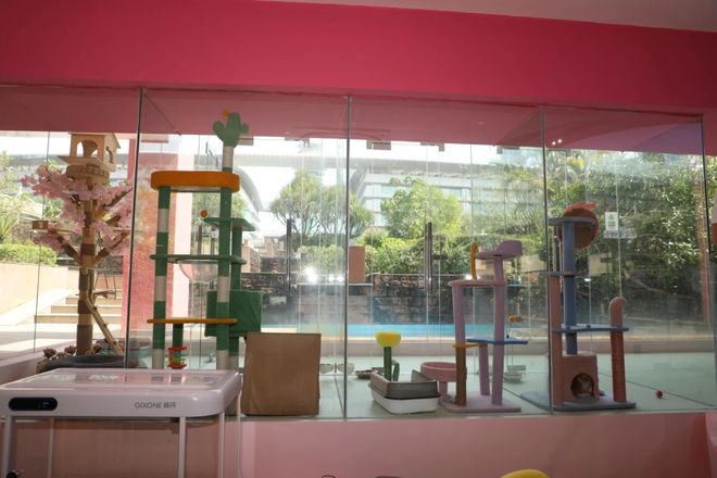 九游娱乐：从客舱到酒店、景区“人宠服务”如何扎根中国旅游市场？(图3)