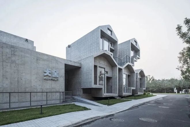 九游娱乐：从客舱到酒店、景区“人宠服务”如何扎根中国旅游市场？(图8)