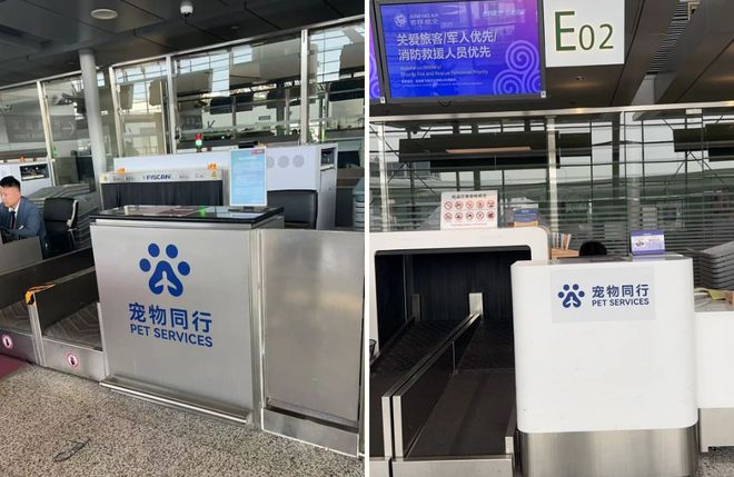 九游娱乐：从客舱到酒店、景区“人宠服务”如何扎根中国旅游市场？(图1)