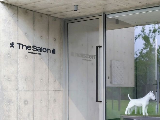 九游娱乐：从客舱到酒店、景区“人宠服务”如何扎根中国旅游市场？(图9)