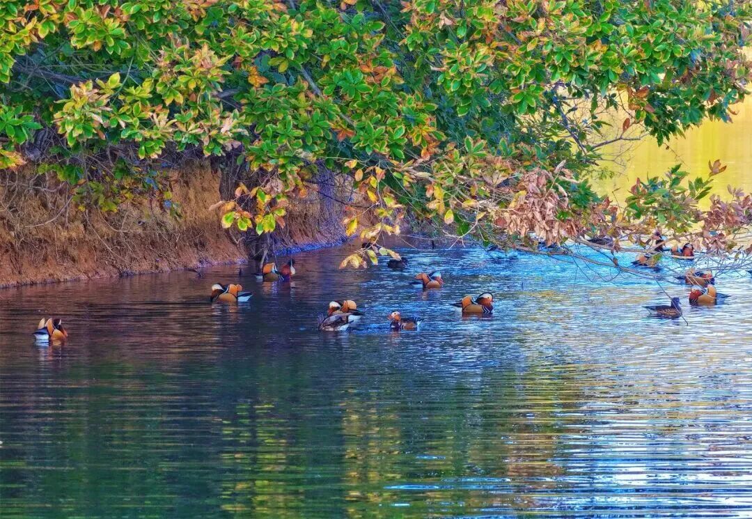 九游娱乐平台：湖北人心中“十大必吃”！荆州上榜的是→今早一定要裹好羽绒服！(图2)
