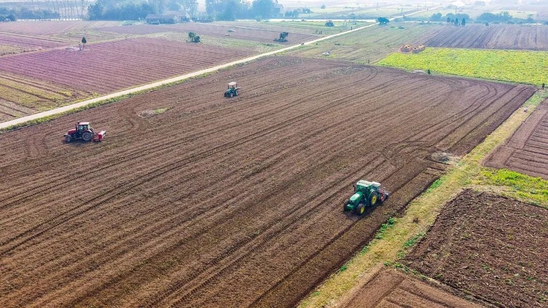 九游娱乐平台：湖北人心中“十大必吃”！荆州上榜的是→今早一定要裹好羽绒服！(图4)