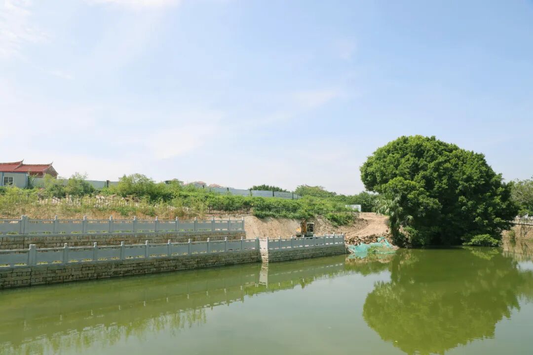 九游娱乐网站：鲤城2026年度重点项目确定！(图5)