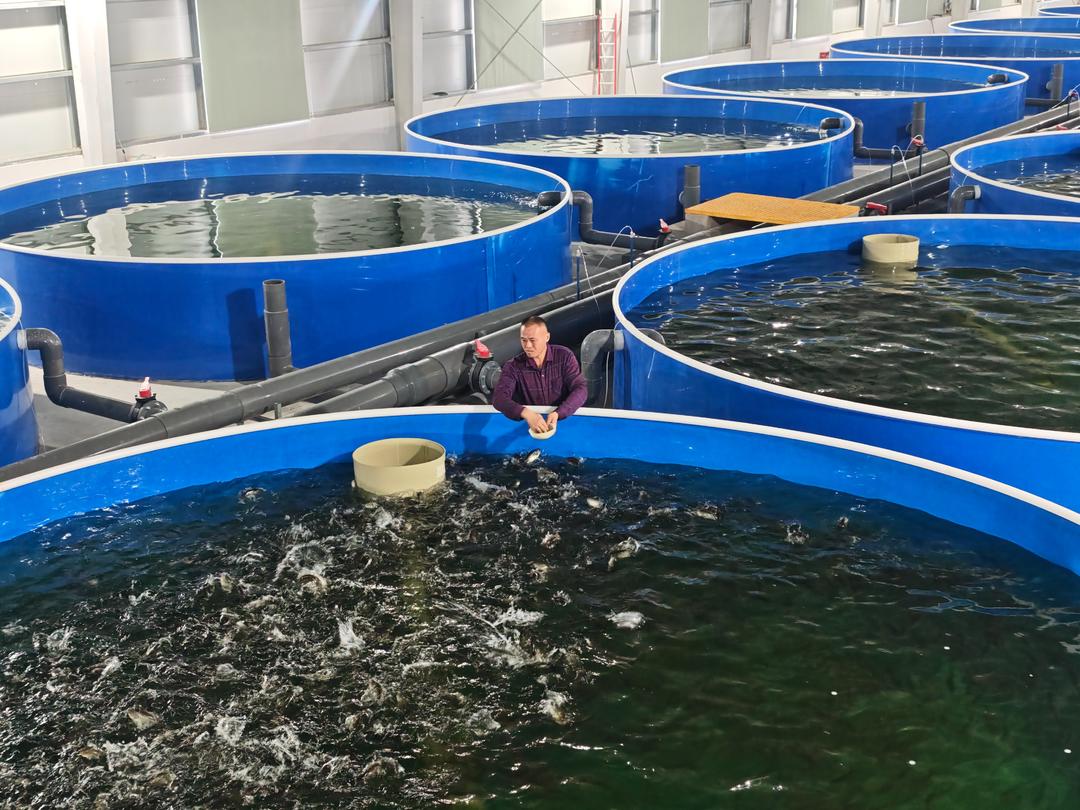 九游娱乐平台：郓城：县域国企改出“新活法”(图1)