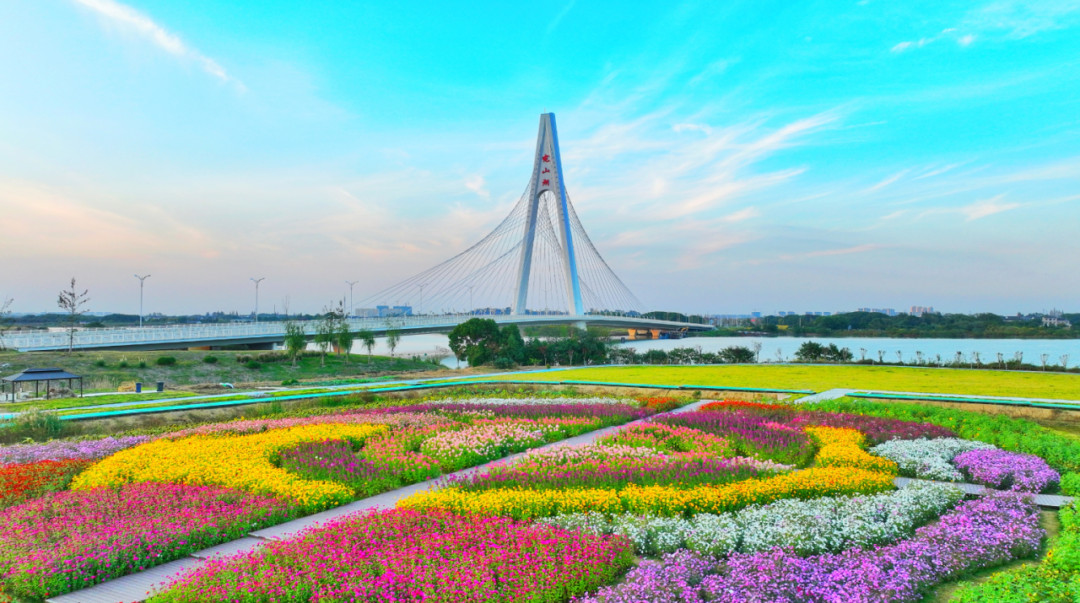 九游娱乐平台：荡口古镇里的中欧“共振”(图2)