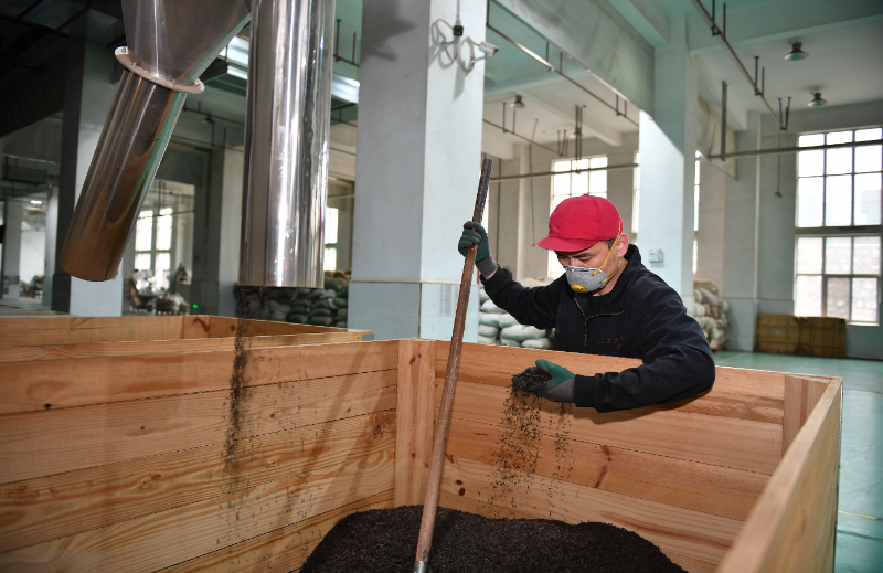 九游娱乐平台：神州答卷丨古都咸阳焕新记(图2)